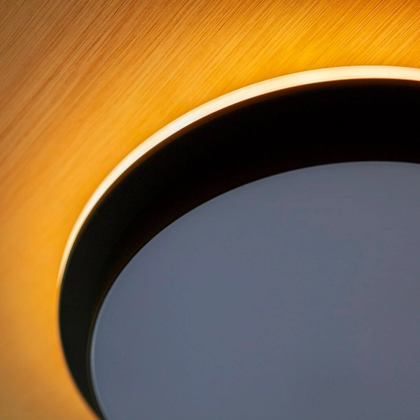 Lampa zewnętrzna GOLETA 5205801012 LED 24,3W 3000-4000K IP44 czarna