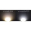 Plafon LAMPA sufitowa 137623613608 TEAM metalowa OPRAWA natynkowa LED 24W 4000K okrągła srebrna biała