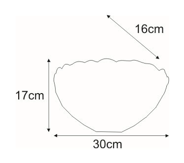 Dekoracyjna lampa ścienna Fruit K-W12550 multikolor