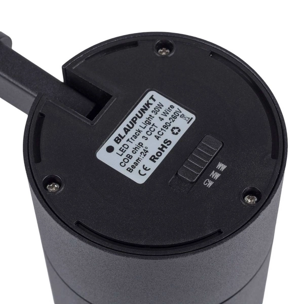 Reflektor LED z przełącznikiem Blaupunkt RS3-30CCT 30W czarny