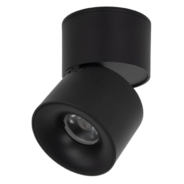 Ledowa lampka sufitowa Spark 18163 LED 10W 3000-6000K czarny