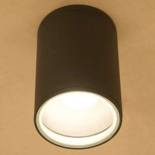 Downlight LAMPA zewnętrzna stropowa FOG 3403 Nowodvorski sufitowa OPRAWA ogrodowa outdoor IP44 tuba grafitowa