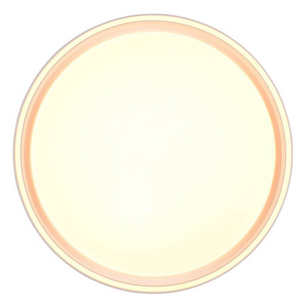 Ledowy plafon gabinetowy Felis R64391031 RL Light 24W 2700-6500K biały