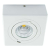 LAMPA sufitowa IGOR LED 6W 4000K 03127 Ideus metalowa OPRAWA kwadratowa regulowany plafon reflektorek biały