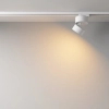 Szynowa lampa jednofazowa Onda TR007-1-12W2.7K-W-1 LED 12W 2700K biała
