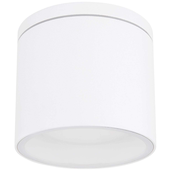 LAMPA sufitowa stropowa ALCALA 32063W Globo zewnętrzna OPRAWA tuba outdoor IP44 biała przezroczysta