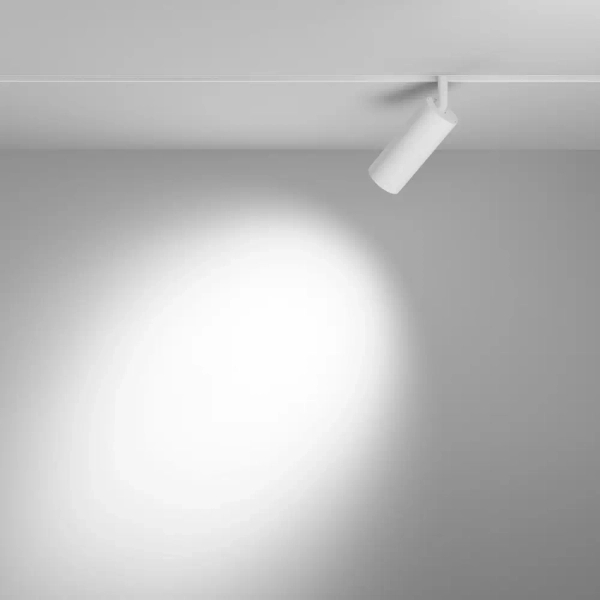 Lampa magnetyczna Focus TR032-4-12WTW-S-DD2-W LED 12W 2700K biała