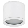 Downlight sufitowy do kuchni Viwo 10595 tuba nad blat IP44 biały