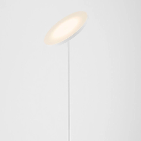 Regulowana lampa podłogowa BUENA LE44292 LED 30W 3000K biały