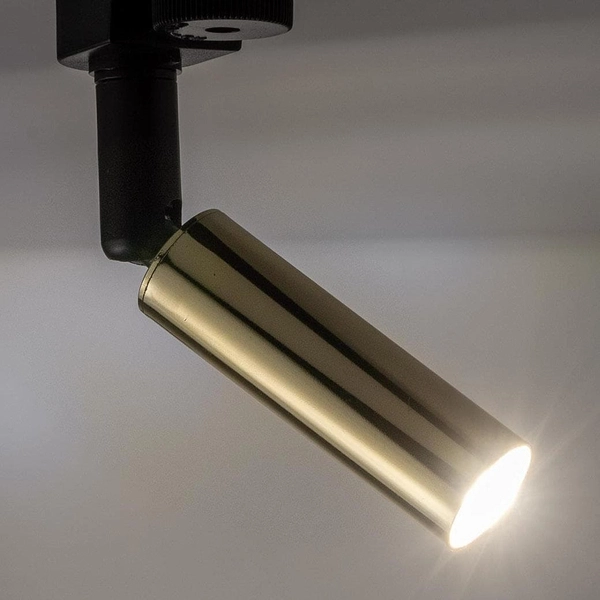 Lampa sufitowa tuba szynowa 1-fazowa Tracer 6616 TK Lighting metalowa złota