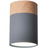 Sufitowa lampa downlight 2284262 metalowa okrągły plafon tuba szara