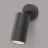 Kinkiet elewacyjny Ortega ORT0722 Dar Lighting tuba IP65 czarny