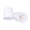 Lampa sufitowa BARRO C0036 tuba regulowany spot biała