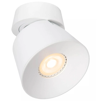 Biała lampa sufitowa Trigono kierunkowy downlight metalowy