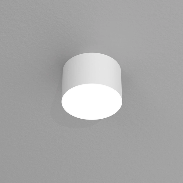 Pokojowa lampa sufitowa Dixie do przedpokoju loft biała