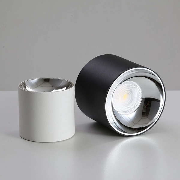 Sufitowy downlight Roller DLB10WW Blaupunkt natynowy LED 10W 3000K czarny