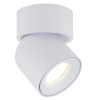 Spot sufitowa lampa punktowa Twist 10576 regulowana metalowa biały