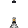 Wisząca LAMPA rustykalna PURRA 54814H Globo metalowa OPRAWA zwis druciany klatka czarna złota