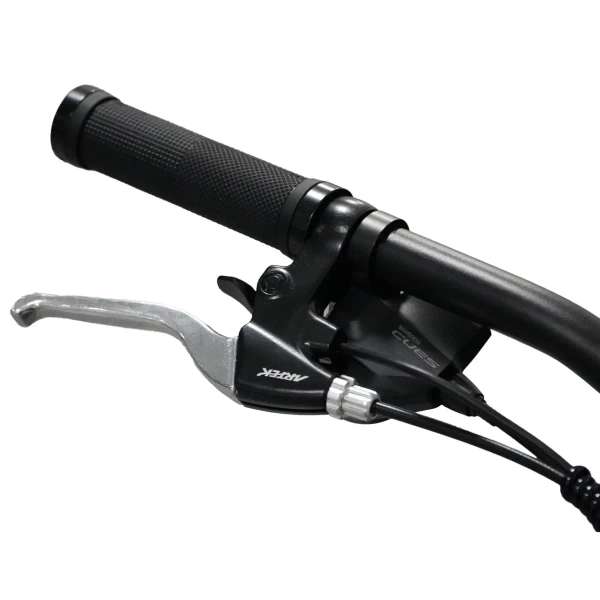 Metalowy rower elektryczny 29" Goldbike 326959 36V 13Ah 250W do 80 km czarny