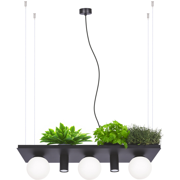 Lampa wisząca Plant Shelf 5555 Zumaline półka na rośliny kule czarne białe
