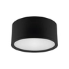 Lampa sufitowa ROLEN 03782 metalowa LED 15W 3000-6500K czarna