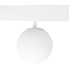 Magnetyczna lampa do szyny MAGNETIC M0044N Maxlight LED 6W 3000K kulista biały