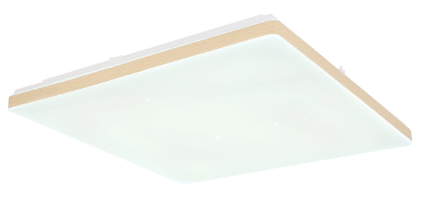 Lampa sufitowa Ully 48025WSH zdalnie sterowana LED 24W 2700-6000K biała