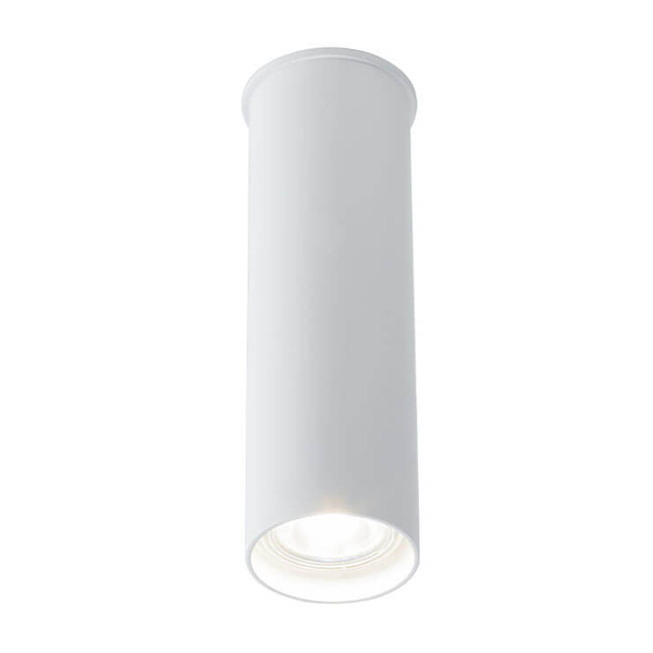 Spot LAMPA sufitowa ARIDA 7009 Shilo tuba downlight OPRAWA biała