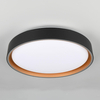 Okrągła lampa sufitowa Felis R64391080 LED 24W 2700-6500K czarny złoty