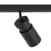 Sufitowa lampa 1-obwodowa 11713 LED 2W 3000K czarny