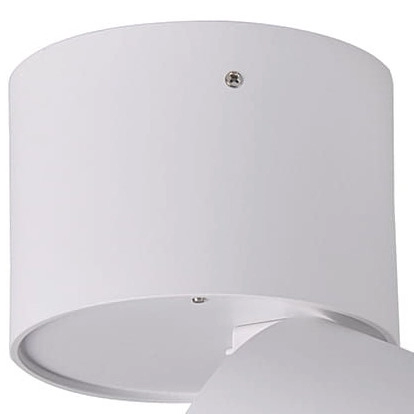 Ruchoma lampa sufitowa ASTRA 314062 metalowy downlight biały