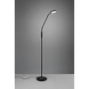 Lampa podłogowa regulowana NEMIO DL132423310 LED 12W 2300-4000K czarny