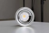 Lampa sufitowa ROLLER DLW10NW metalowa downlight LED 10W 4000K tuba biała