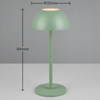 Stołowa lampka ogrodowa Ricardo R54106149 LED 2W 3000K IP54 zielona