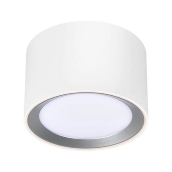 Sufitowa lampa tuba Landon 2110840101 LED 2700-6500K IP44 biały