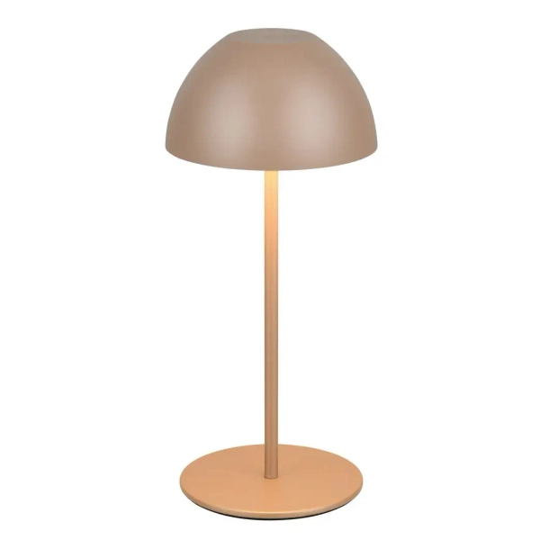 Nocna lampka ORTIZ R55601165 LED 2W 3000K IP44 przenośna grzyb kawowy