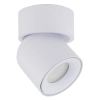 Spot sufitowa lampa punktowa Twist 10576 regulowana metalowa biały