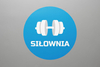 Reklamowe szkiełko do projektorów LOGG1-SIŁOWNIA reklama