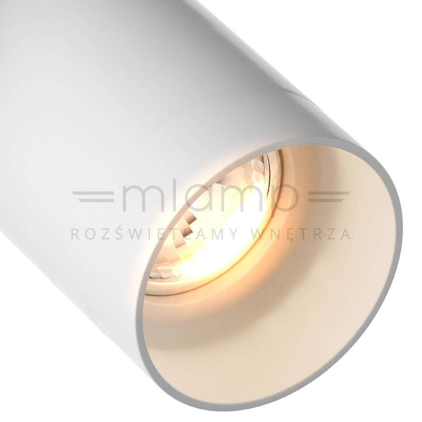 Spot Lampa sufitowa TORI 20015-WH-N regulowana metalowa tuba biała