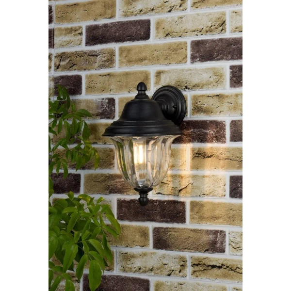 Zewnętrzna lampa elewacyjna Aldgate ALD1635 szklana do ogrodu IP44 czarny
