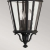 Zewnętrzna LAMPA wisząca Cotswold FE-COTSLN8-M-BK Elstead FEISS szklana OPRAWA industrialna latarenka zwis IP23 czarny przezroczysty