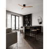 Sufitowy wiatrak JOSECITO LE44962 do salonu drewniany czarny