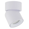 Spot sufitowa lampa punktowa Twist 10576 regulowana metalowa biały
