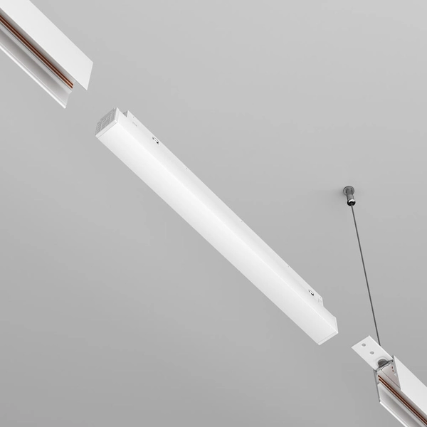 Podłużny zasilacz magnetyczny Radity TRX034DR4-100W-1 LED 100W biały