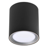 Lampa przysufitowa Landon 2110850103 LED 2700-6500K IP44 tuba czarny