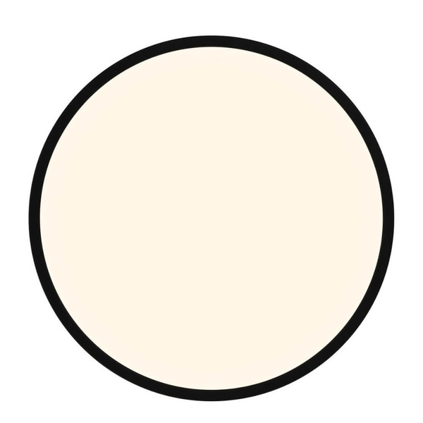 Sufitowa lampa OJA 2015116103 LED 19W 3000-4000K IP54 czarny