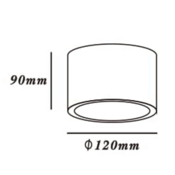 Spot lampa sufitowa CAMINO LP-1101/1SM WH Light Prestige plafoniera oprawa downlight tuba biała