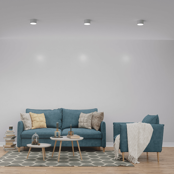 Pokojowa lampa sufitowa Dixie do przedpokoju loft biała
