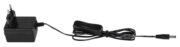 Dekoracyjna lampka podłogowa Mendoza z rybkami LED RGB 0,06W srebrna