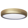 Złota lampa sufitowa Gea LED 36W CCT natynkowy plafon do pokoju
